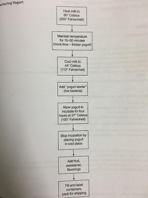 ielts-task-1-diagram-process-manufacturing-yogourt-ch-a-writing-mi-n